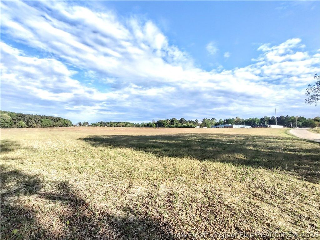 0 Tramway Rd / Hwy 78, Sanford, NC 27330 — photo 2
