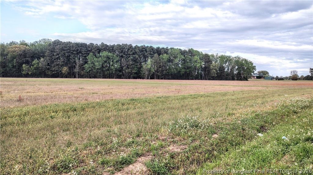 0 Tramway Rd / Hwy 78, Sanford, NC 27330 — photo 3