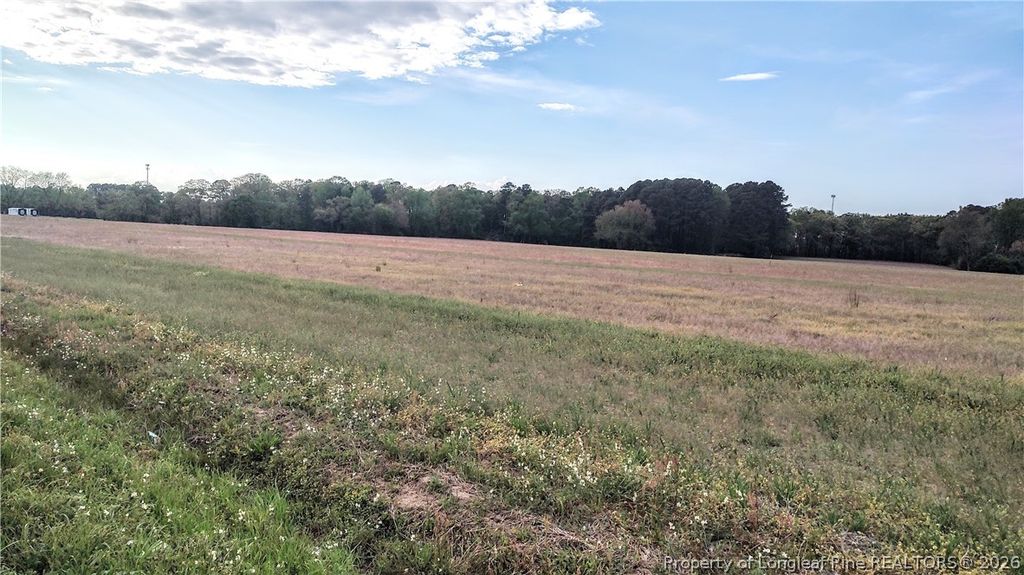 0 Tramway Rd / Hwy 78, Sanford, NC 27330 — photo 4
