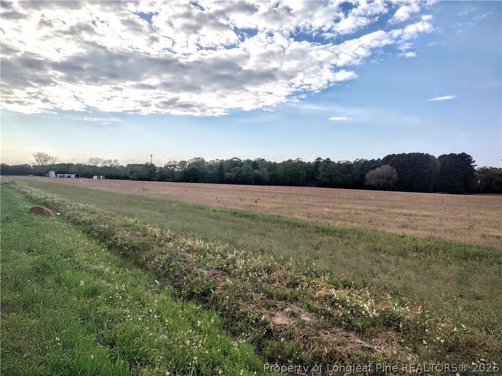 0 Tramway Rd / Hwy 78, Sanford, NC 27330 — photo 5