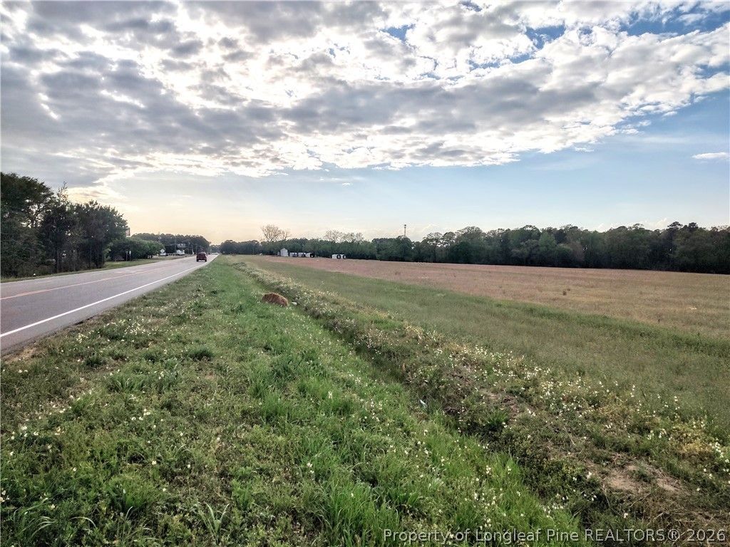 0 Tramway Rd / Hwy 78, Sanford, NC 27330 — photo 6