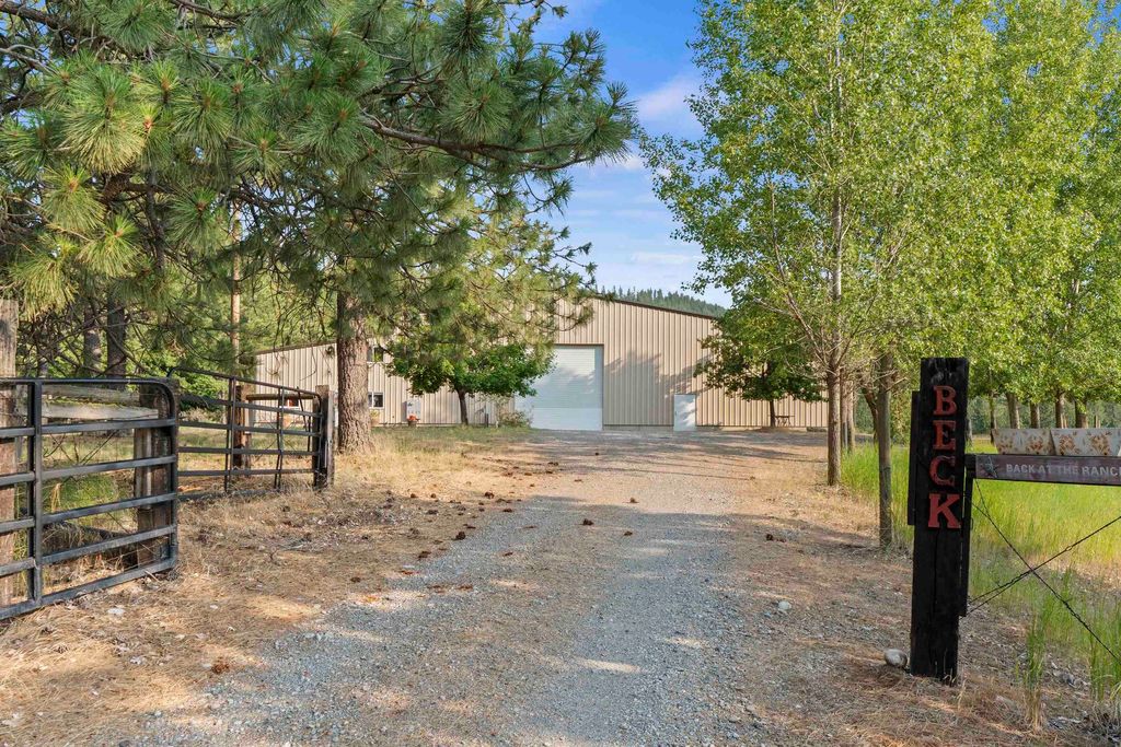 10718 S Mica Vista Ln, Mica, WA 99023 photo 3