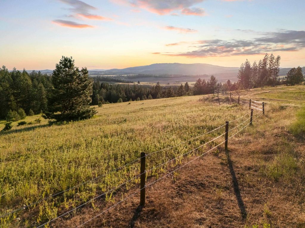 10718 S Mica Vista Ln, Mica, WA 99023 photo 5