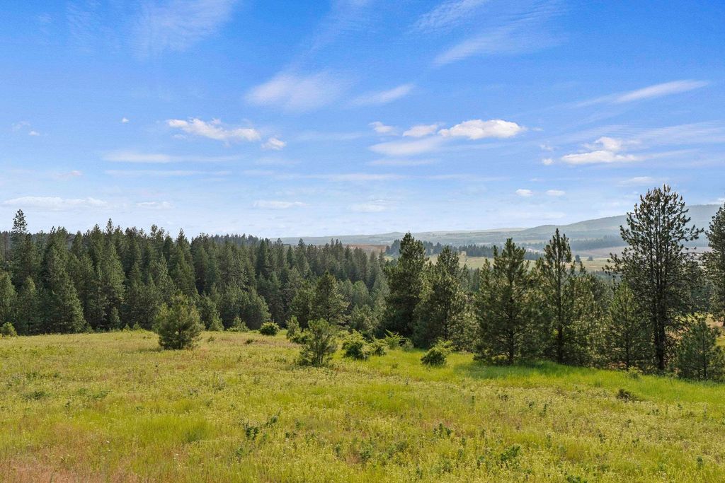 10718 S Mica Vista Ln, Mica, WA 99023 photo 46