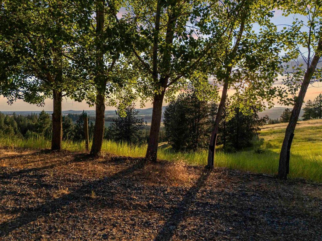 10718 S Mica Vista Ln, Mica, WA 99023 photo 48