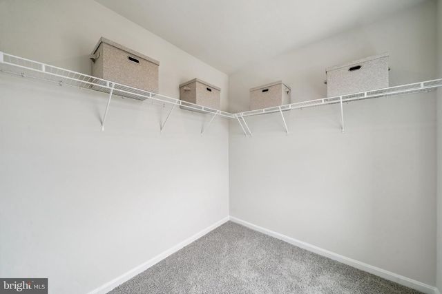 252 CAMDEN DR, Waynesboro, VA 22980