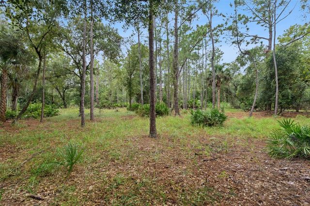 14133 LUND DRIVE, Orlando, FL 32826