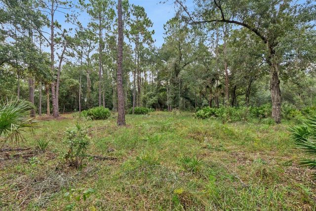 14133 LUND DRIVE, Orlando, FL 32826