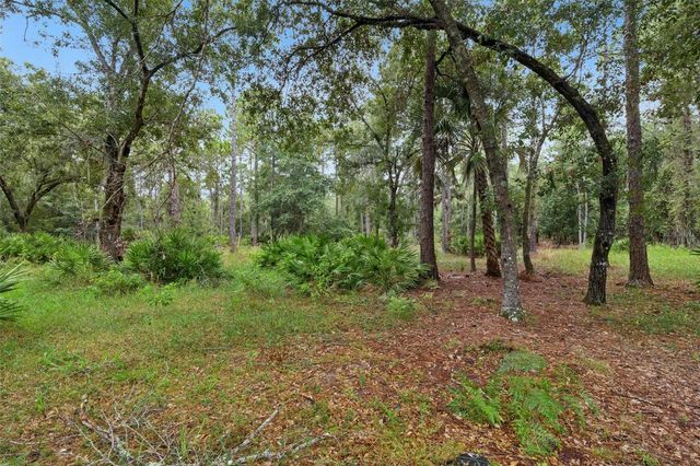 14133 LUND DRIVE, Orlando, FL 32826