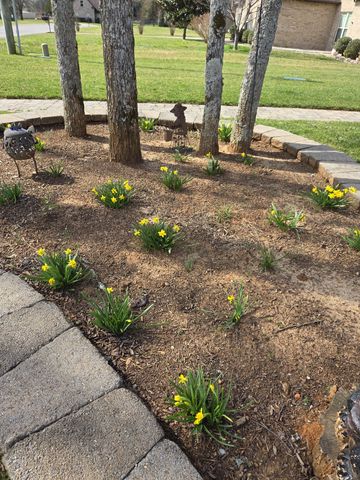 205 Amazonway Rdg, Murfreesboro, TN 37130