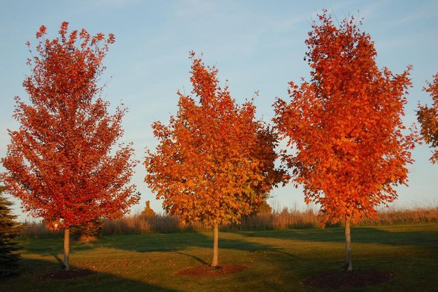 1196 Mary Hill CIRCLE, Hartland, WI 53029