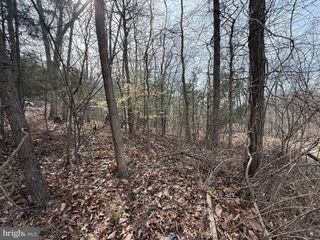 Lot 62 ROACHES RUN ROAD, Front Royal, VA 22630