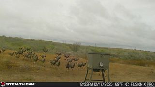 00 S COUNTY ROAD 153, Kenedy, TX 78119