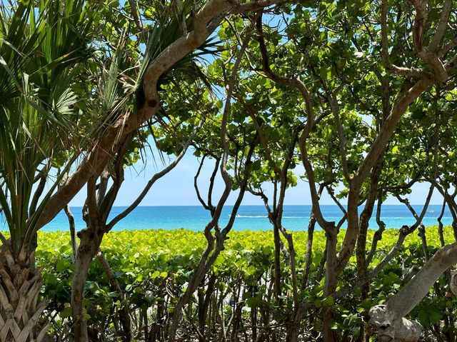 6100 Francis Street B, Jupiter, FL 33458