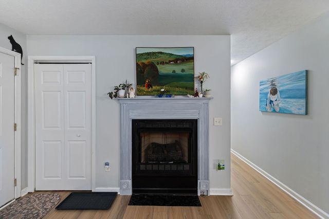 567 BASSWOOD LN, Mt Jackson, VA 22842
