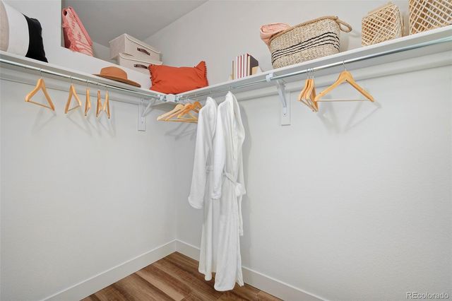 11502 Vibrato Lane, Lone Tree, CO 80134