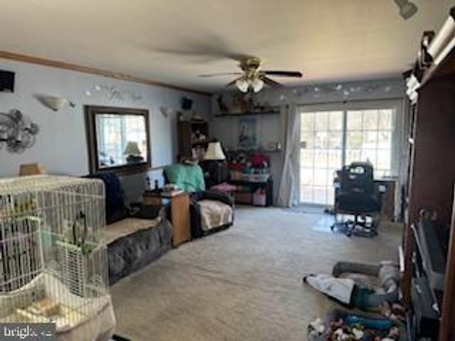 127 BUCHANNAN DR, Stephens City, VA 22655