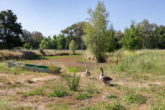 2738 Stony Creek Cir, Acampo, CA 95220