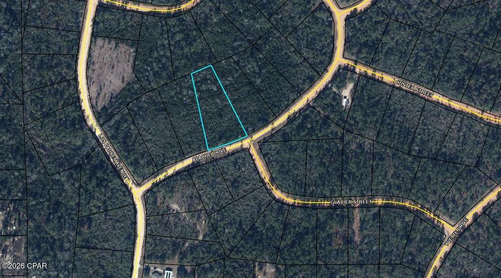 TBD Apache Drive, Alford, FL 32420