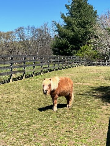 1006 Laguna Drive, Franklin, TN 37067