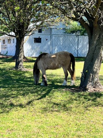 1006 Laguna Drive, Franklin, TN 37067