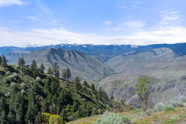 TBD Lightning Creek, Riggins, ID 83549