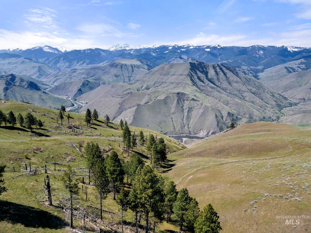 TBD Lightning Creek, Riggins, ID 83549 photo 28