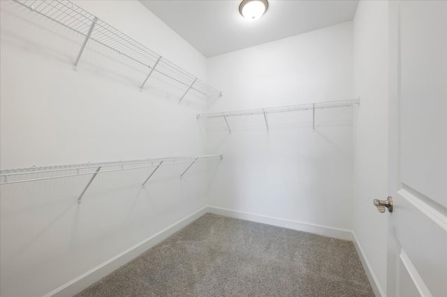 2326 Stonecenter Ln, Murfreesboro, TN 37128