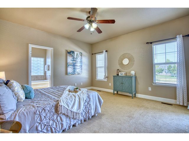 290 Clark Ct, Windsor, CO 80550