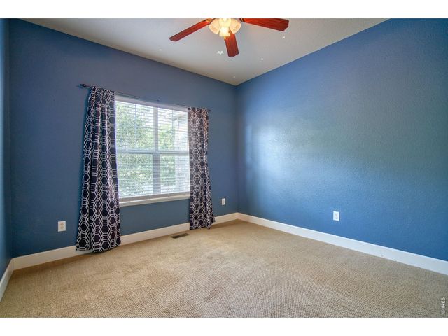 290 Clark Ct, Windsor, CO 80550