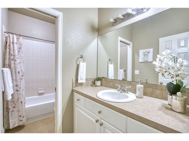 290 Clark Ct, Windsor, CO 80550