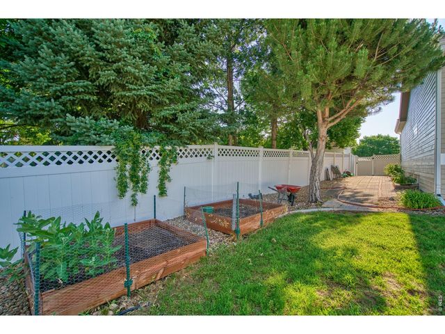 290 Clark Ct, Windsor, CO 80550
