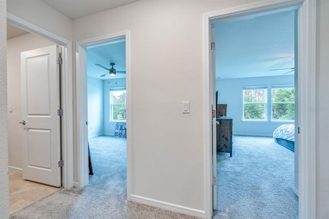 20472 MONZA LOOP, Land O Lakes, FL 34638
