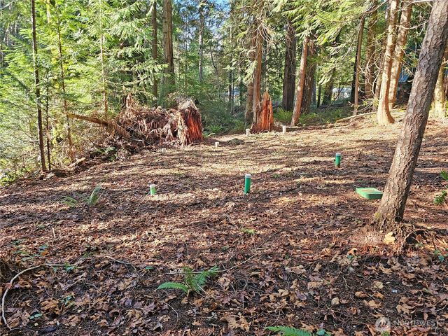 121 Bay View Avenue, Brinnon, WA 98320