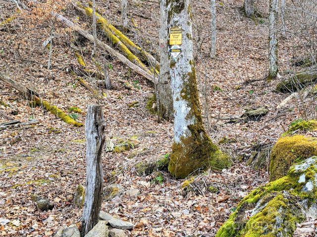 254 Ray Mine Road, Burnsville, NC 28714