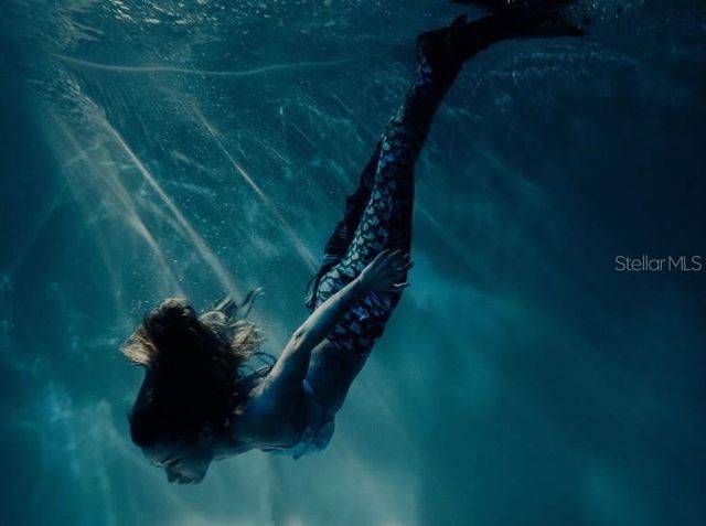 16314 FROST BIRD ROAD, Weeki Wachee, FL 34614