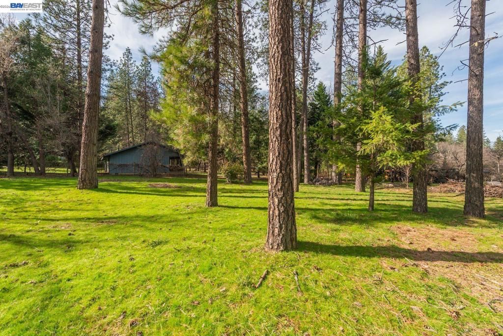 Image 39 of property listing at 376 376 Mountain View Dr., Lewiston, CA 96052