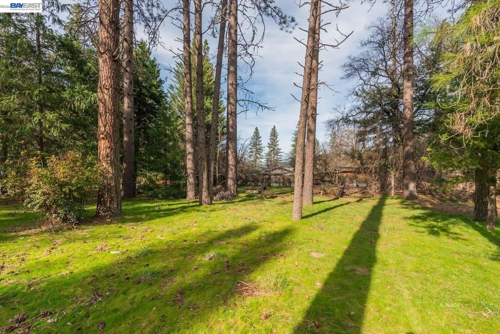 Image 40 of property listing at 376 376 Mountain View Dr., Lewiston, CA 96052