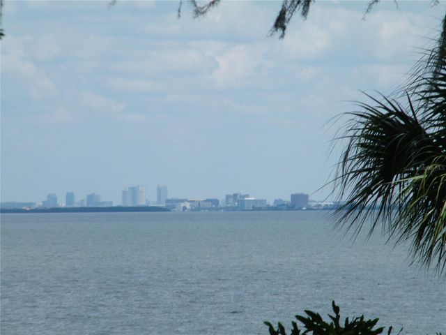 1060 JESSE AVENUE, Safety Harbor, FL 34695