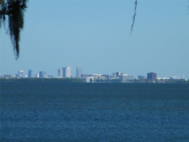 1060 JESSE AVENUE, Safety Harbor, FL 34695