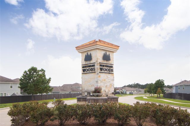 19814 Red Bay Fir Court, Porter, TX 77365