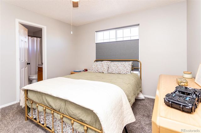 8029 Ravenel Drive, Colorado Springs, CO 80920