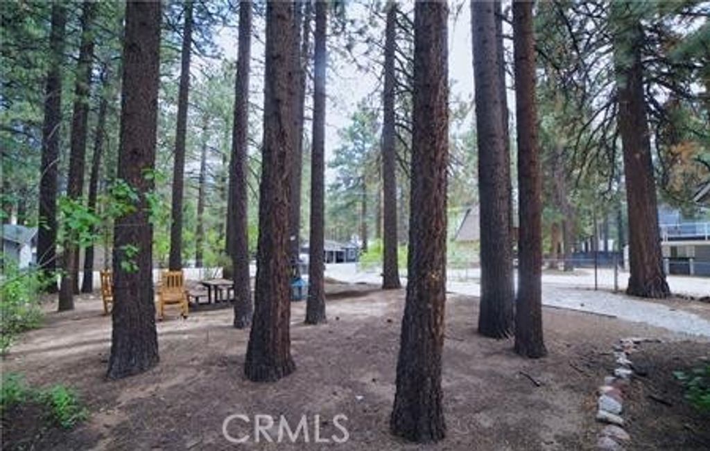 Image 21 of property listing at 382 Knight, Big Bear Lake, CA 92315
