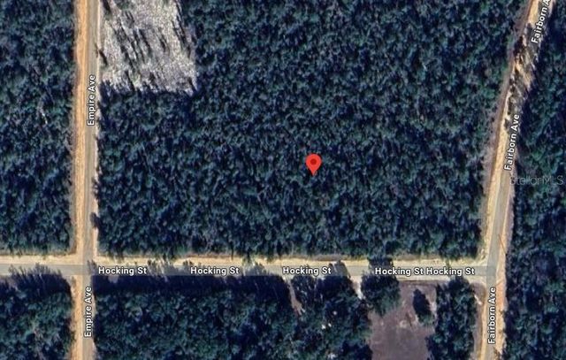 HOCKING STREET, Alford, FL 32420