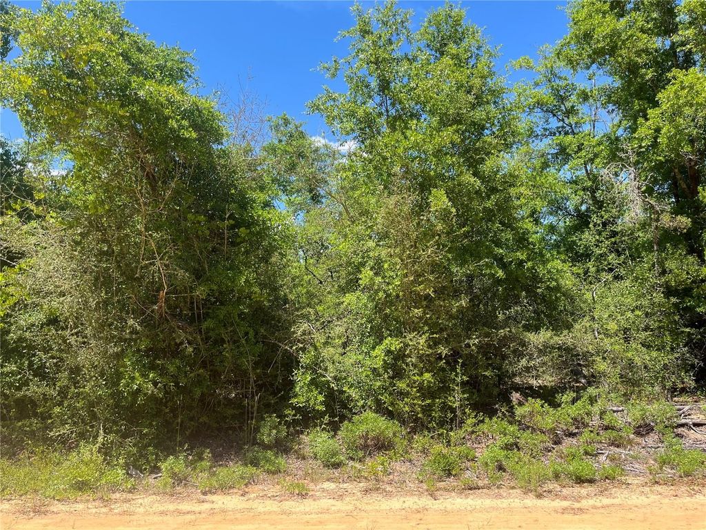 HOCKING STREET, Alford, FL 32420