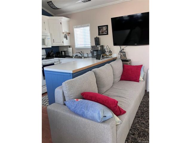 10795 County Road 197a 118, Nathrop, CO 81236