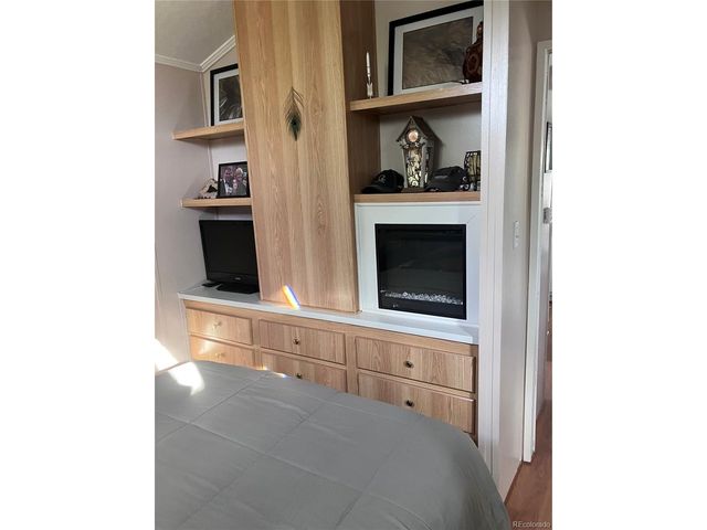 10795 County Road 197a 118, Nathrop, CO 81236