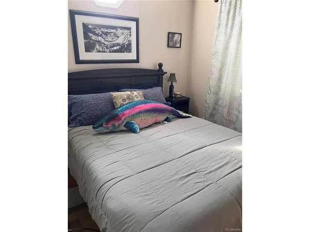 10795 County Road 197a 118, Nathrop, CO 81236