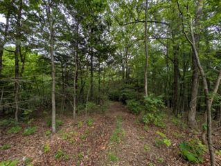 Sutton Place, Harrison, AR 72601