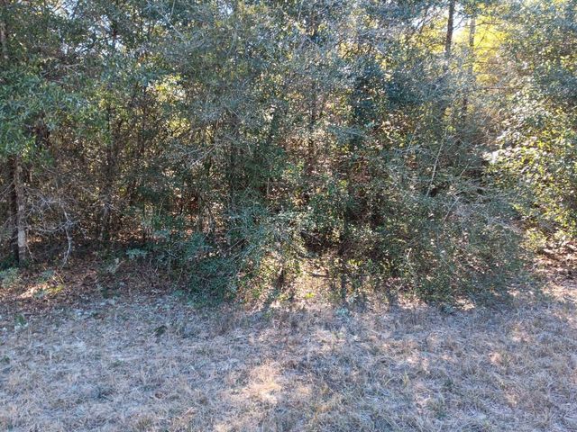 MALONE, Chipley, FL 32428